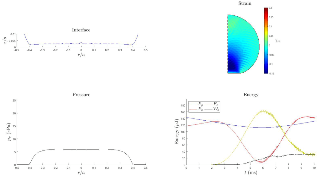 Simulation dashboard: interface, strain field, pressure and energy exchange of a Leidenfrost hydrogel