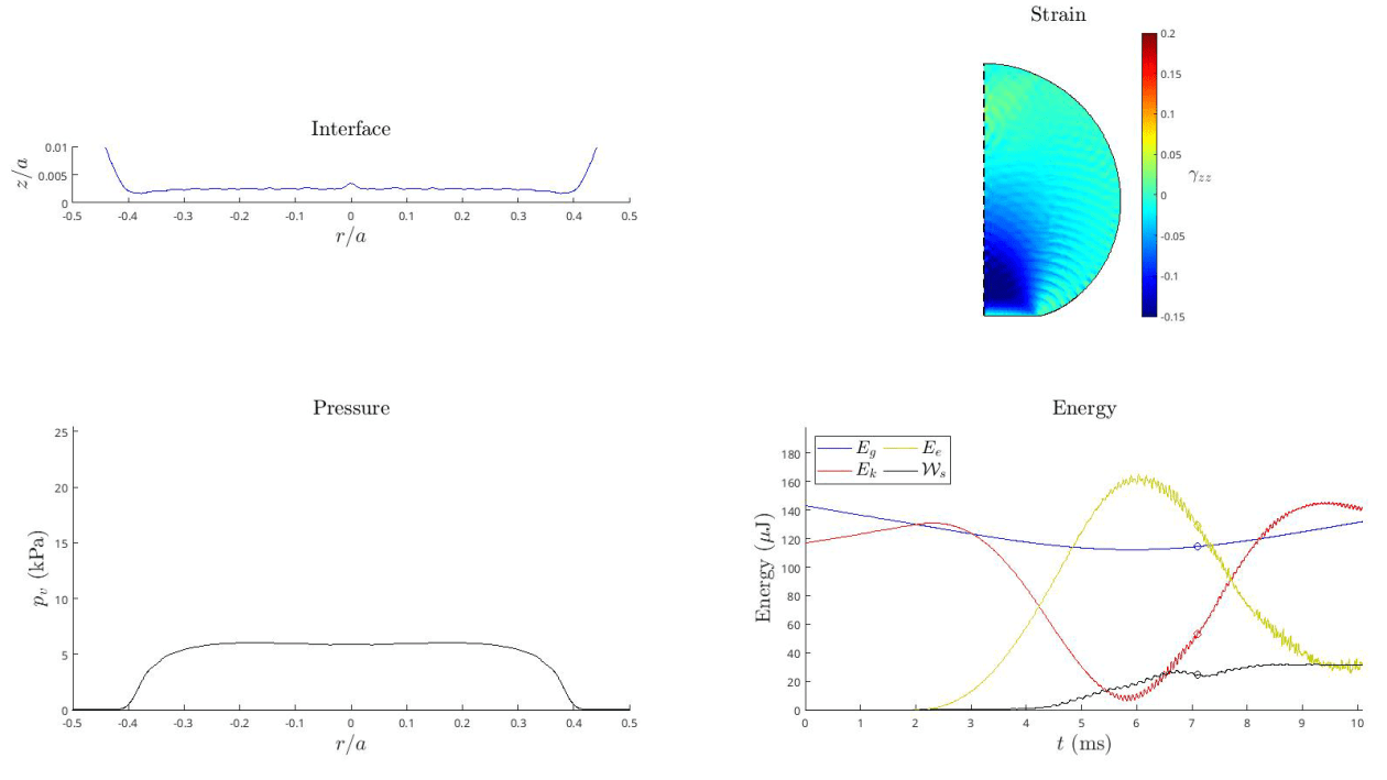 Simulation dashboard: interface, strain field, pressure and energy exchange of a Leidenfrost hydrogel