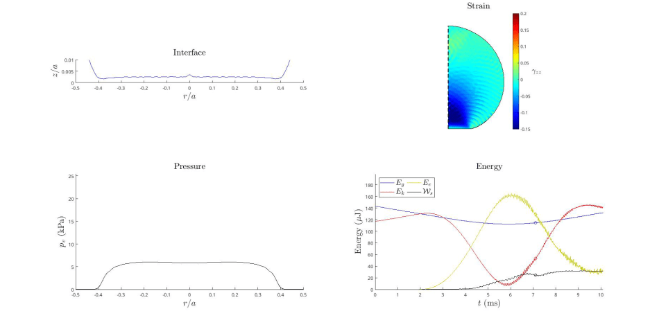 Simulation dashboard: interface, strain field, pressure and energy exchange of a Leidenfrost hydrogel