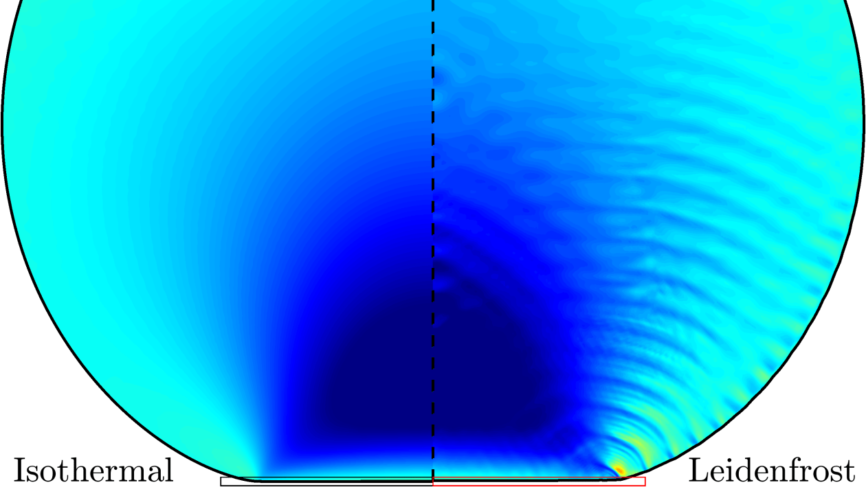 Simulated elastic strain field in a Leidenfrost hydrogel (isothermal vs Leidenfrost)