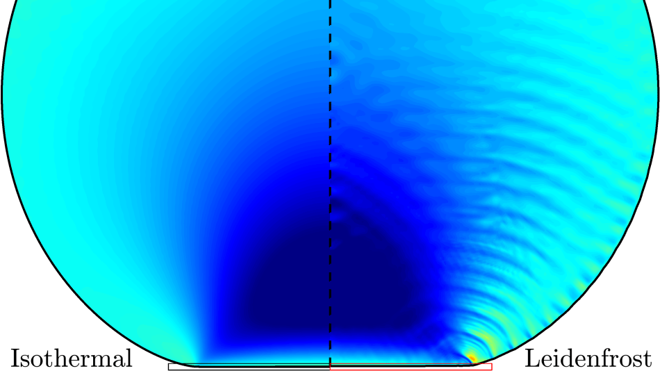 Simulated elastic strain field in a Leidenfrost hydrogel (isothermal vs Leidenfrost)